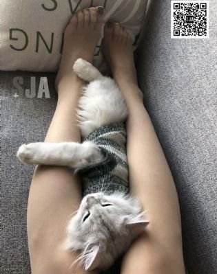 缉毒警察绝不会输动漫
